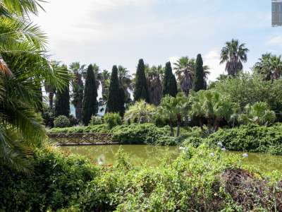 ...che permette l�attraversamento di un sorprendente laghetto artificiale, simbolo dell�orto botanico